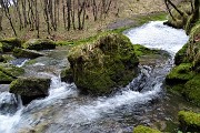 74 Alla base delle Sorgenti dell'Enna-'Fiume Latte'